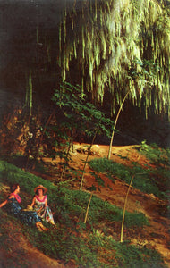 Fern Grotto, Kauai, HI - Carey's Emporium