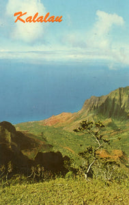 Kalalau Lookout, Kauai, HI - Carey's Emporium