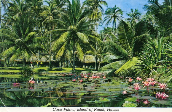 Coco Palms, Island of Kauai, HI - Carey's Emporium