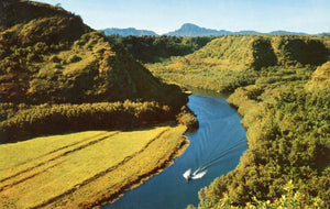 Wailua River, Kauai, HI - Carey's Emporium