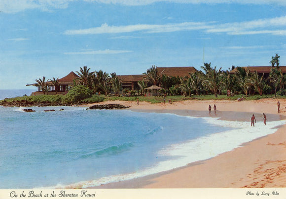 On the Beach at the Sheraton Kauai, HI - Carey's Emporium