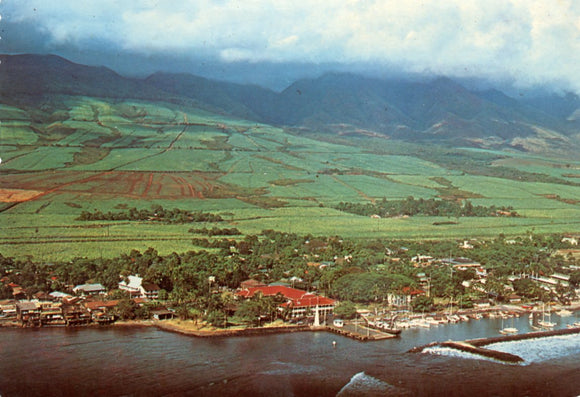 Lahaina, Maui, HI - Carey's Emporium