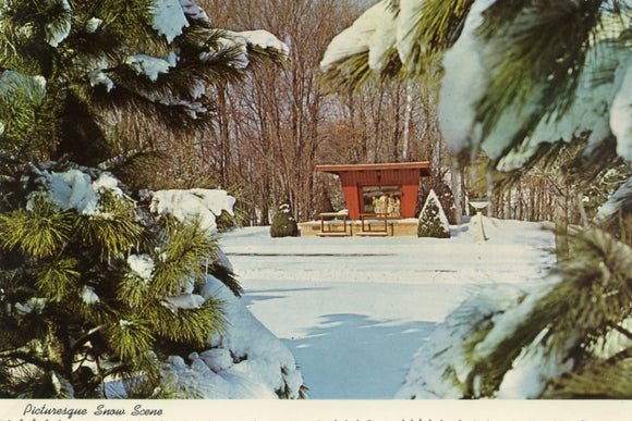 Picturesque Snow Scene, Shrine of Our Lady of the Snows, Belleville, IL - Carey's Emporium