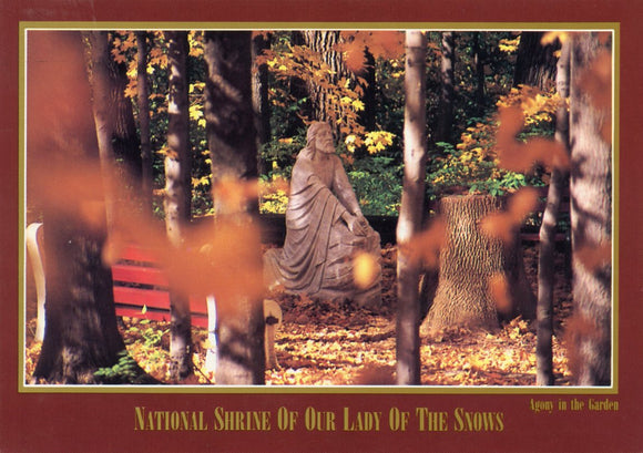 Agony in the Garden, National Shrine of Our Lady of the Snows, Belleville, IL - Carey's Emporium
