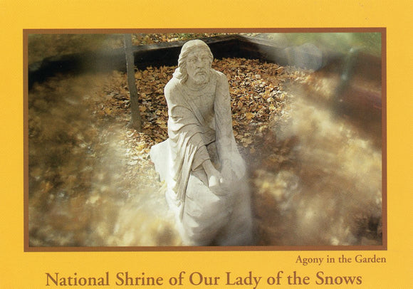 Agony in the Garden, National Shrine of Our Lady of the Snows, Belleville, IL - Carey's Emporium