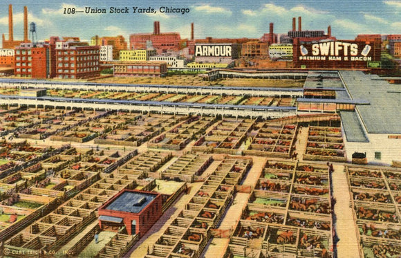 Union Stock Yards, Chicago, IL - Carey's Emporium