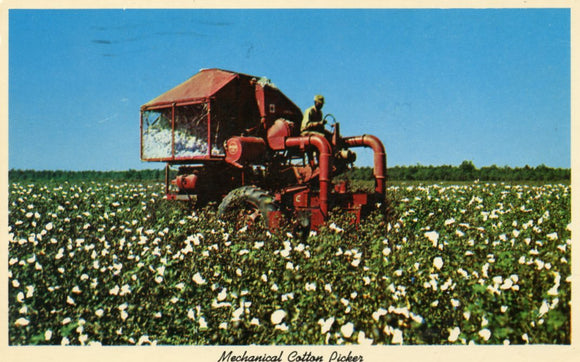 Mechanical Cotton Picker - Carey's Emporium