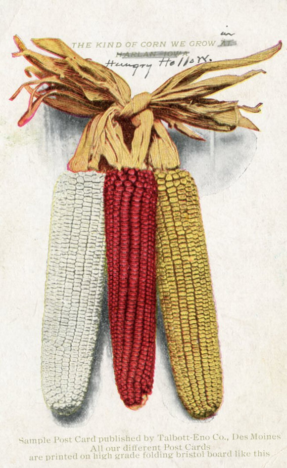 The Kind of Corn We Grow, Des Moines, IA - Carey's Emporium