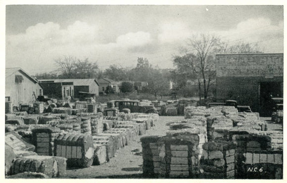 Harvested, Baled, Cotton Bales at Enfield, NC - Carey's Emporium