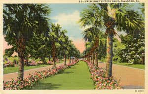 Palm-Lined Victory Drive, Savannah, GA - Carey's Emporium