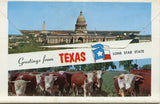 Howdy from Texas, The Lone Star State, Souvenir Folder - Carey's Emporium
