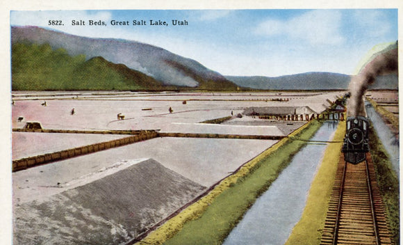 Salt Beds, Salt Lake City, UT - Carey's Emporium