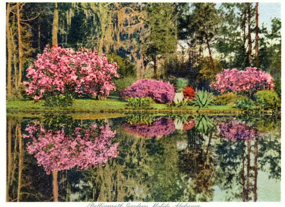 Bellingrath Gardens, Mobile, AL - Carey's Emporium