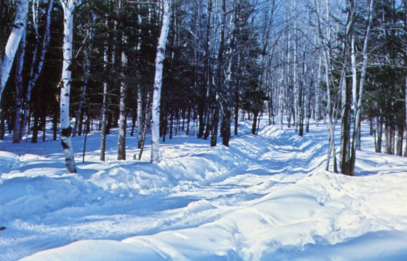 Lost Lake Woods Club, Lincoln, MI - Carey's Emporium