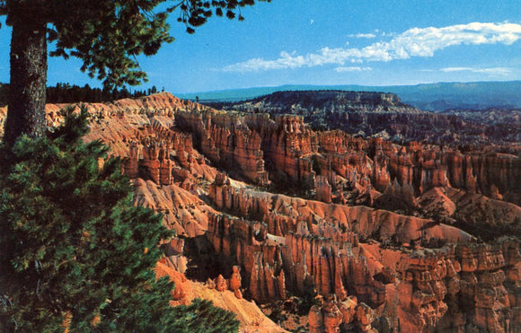 Sunset Point, Bryce Canyon, UT - Carey's Emporium