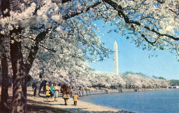 Washington Monument, Washington, DC - Carey's Emporium