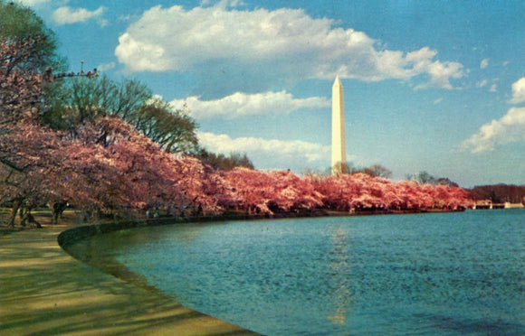 The Washington Monument, Washington, DC - Carey's Emporium
