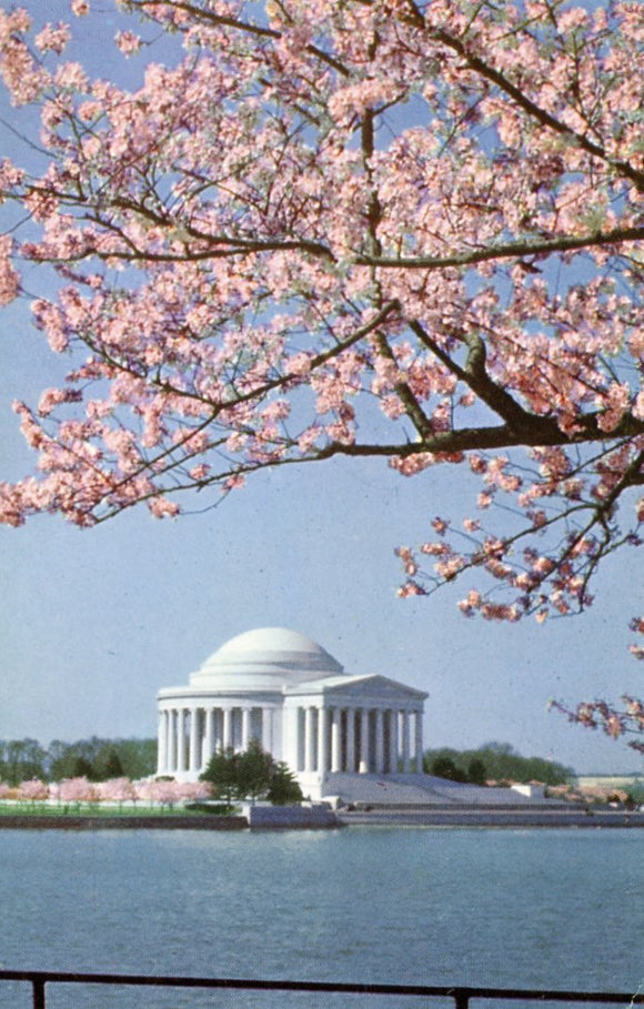 Jefferson Memorial, Washington, DC - Carey's Emporium