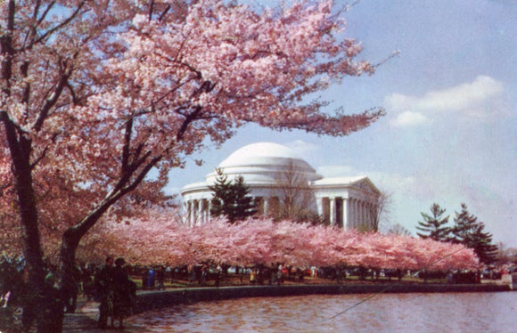 Jefferson Memorial, Washington, DC - Carey's Emporium