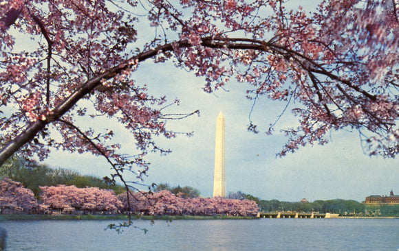 The Washington Monument, Washington, DC - Carey's Emporium