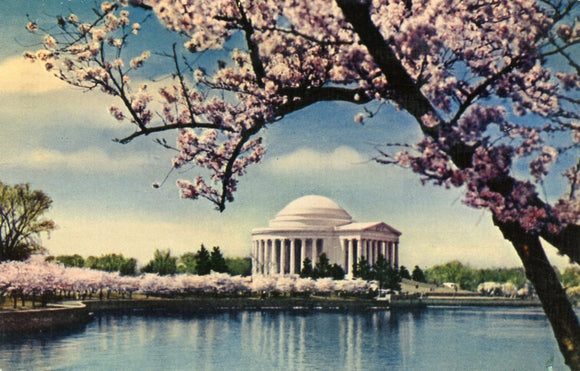 The Jefferson Memorial, Washington, DC - Carey's Emporium