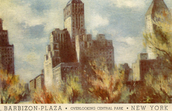Barbizon-Plaza, Overlooking Central Park, New York, NY - Carey's Emporium