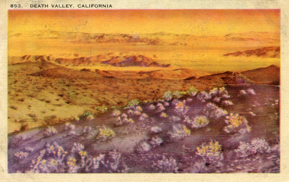 Death Valley, CA - Carey's Emporium