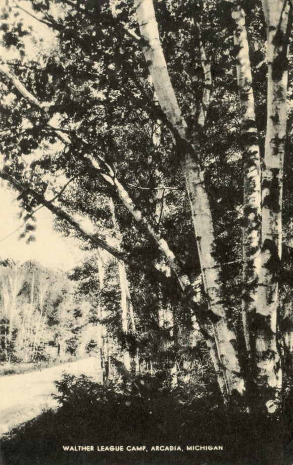 Walther League Camp, Arcadia, MI - Carey's Emporium