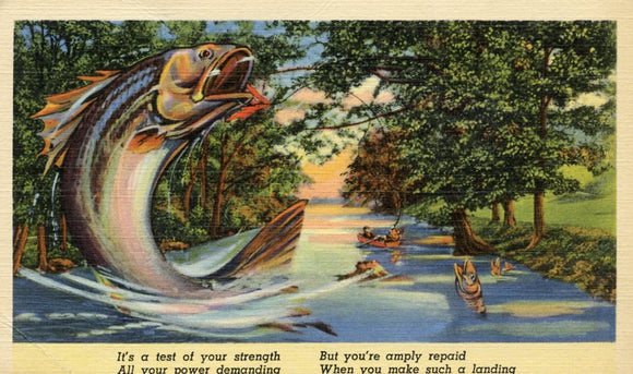 It's a test of your strength, All your power demanding, But you're amply repaid, When you make such a landing - Carey's Emporium