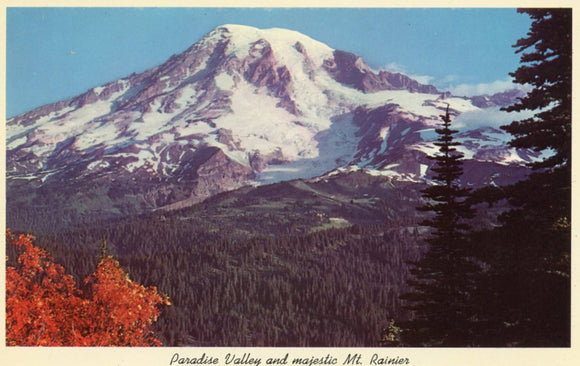 Paradise Valley and majestic Mt. Rainier, Mt. Rainier National Park, Washington State - Carey's Emporium