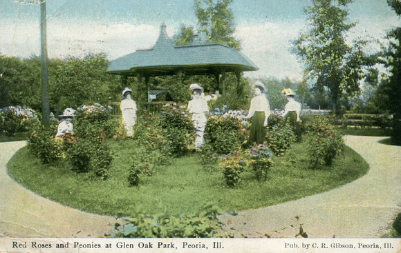 Red Roses and Peonies at Glen Oak Park, Peoria, IL - Carey's Emporium