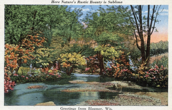 Here Nature's Rustic Beauty is Sublime, Greetings from Bloomer, WI - Carey's Emporium