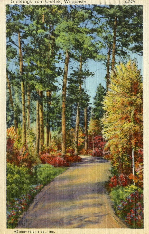 Greetings from Chetek, WI - Carey's Emporium