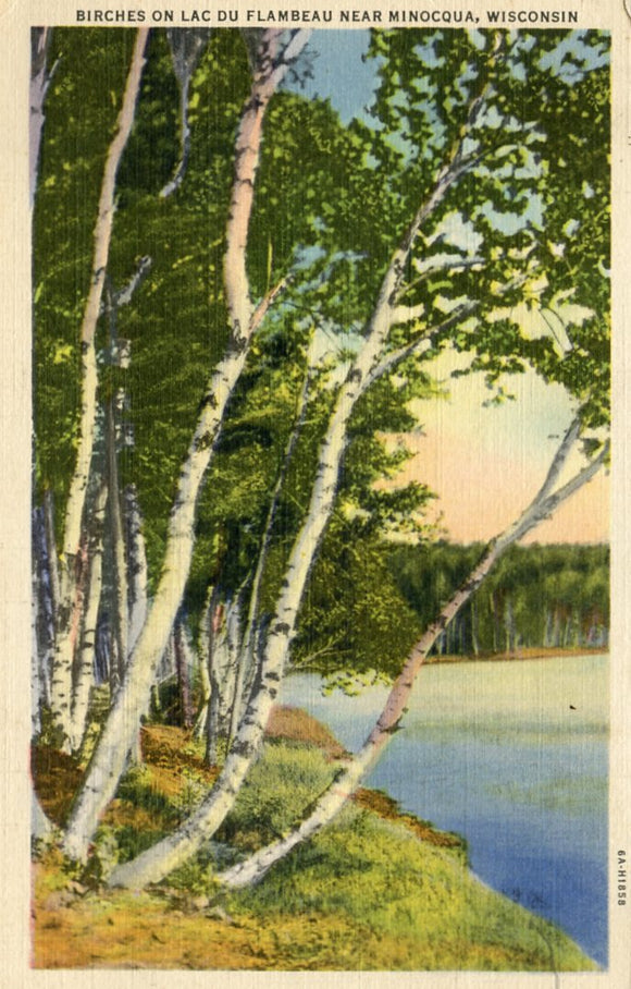Birches on Lac du Flambeau near Minocqua, WI - Carey's Emporium