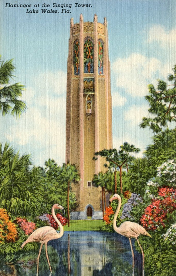 Flamingos at the Singing Tower, Lake Wales, FL - Carey's Emporium