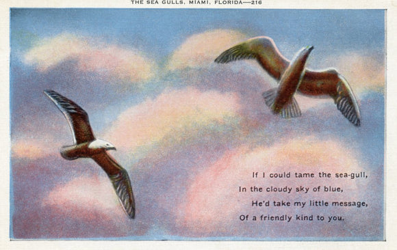 The Sea Gulls, Miami, FL - Carey's Emporium