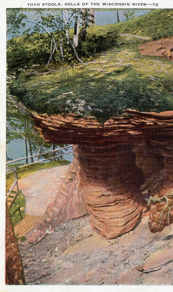 Toad Stools, Dells of the Wisconsin River, WI - Carey's Emporium