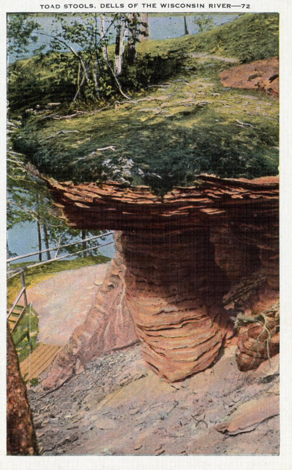 Toad Stools, Dells of the Wisconsin River, WI - Carey's Emporium