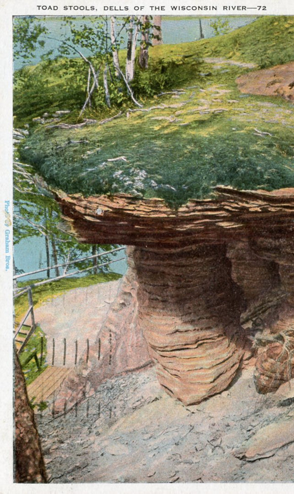 Toad Stools, Dells of the Wisconsin River, WI - Carey's Emporium