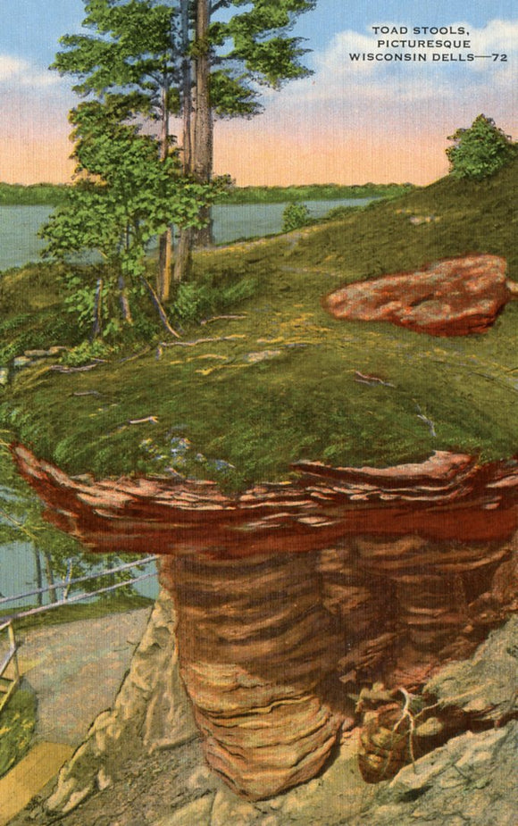 Toad Stools, Picturesque Wisconsin Dells, WI - Carey's Emporium