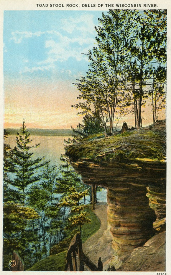 Toad Stool Rock, Dells of the Wisconsin River, WI - Carey's Emporium