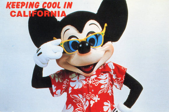 Keeping Cool in California - Carey's Emporium