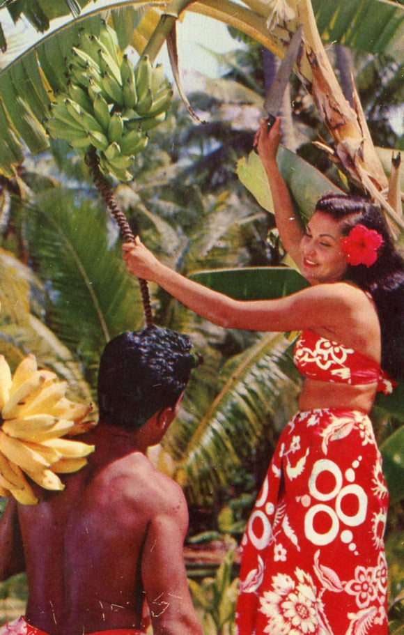 Gathering Fruit, Tahiti - Carey's Emporium