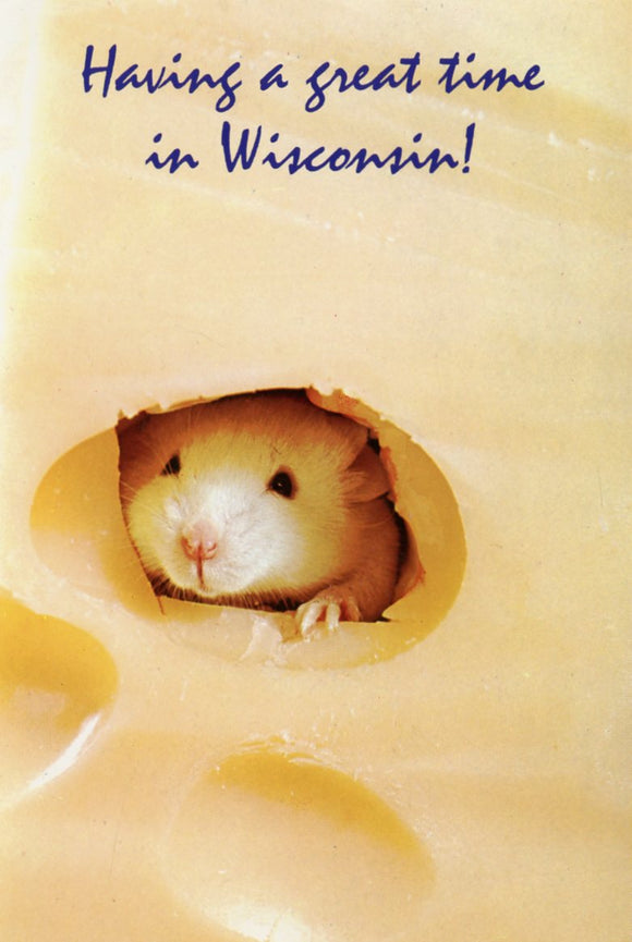 Having a Great Time in Wisconsin! - Carey's Emporium