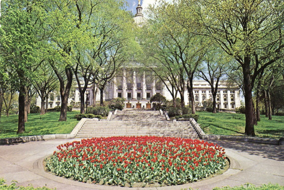 Wisconsin State Capitol, Madison, WI - Carey's Emporium