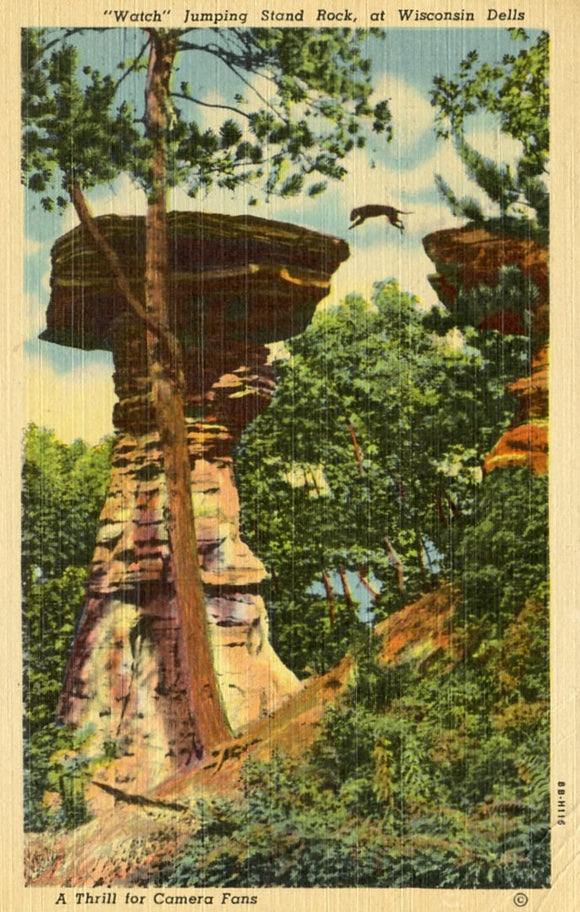 Watch Jumping Stand Rock, Wisconsin Dells, WI - Carey's Emporium