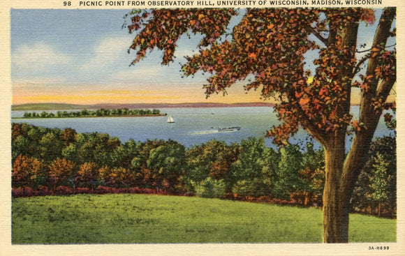 Picnic Point from Observatory Hill, University of Wisconsin, Madison, WI - Carey's Emporium