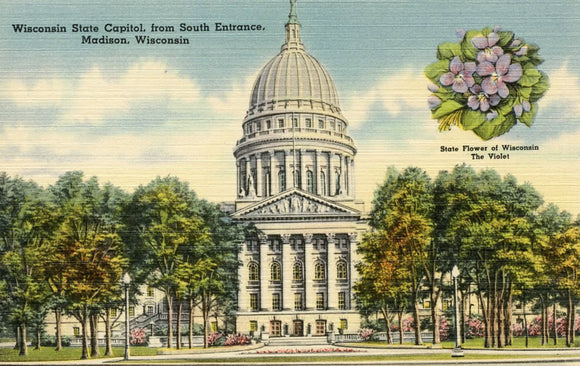 Wisconsin State Capitol, from South Entrance, Madison, WI - Carey's Emporium