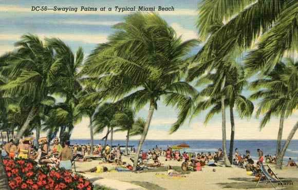 Swaying Palms at a Typical Miami Beach, FL - Carey's Emporium