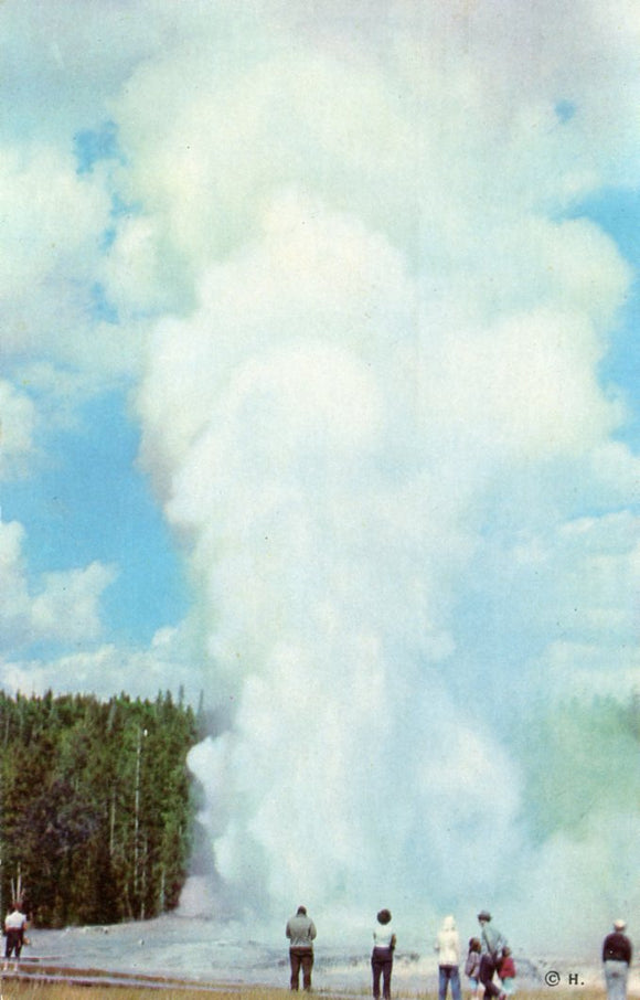 Giant Geyser, Upper Geyser Basin, Yellowstone Park - Carey's Emporium